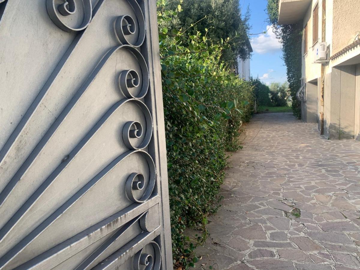Villa Maximo Apartment Albano Laziale Exteriör bild